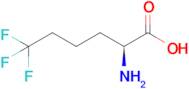 (S)-2-Amino-6,6,6-trifluorohexanoic acid