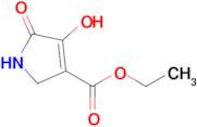 Ethyl 4-hydroxy-5-oxo-2,5-dihydro-1H-pyrrole-3-carboxylate