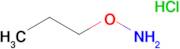 O-Propylhydroxylamine hydrochloride