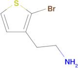 2-(2-Bromothiophen-3-yl)ethan-1-amine