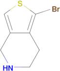 1-Bromo-4,5,6,7-tetrahydrothieno[3,4-c]pyridine