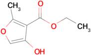 Ethyl 4-hydroxy-2-methylfuran-3-carboxylate