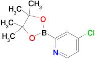 4-Chloro-2-(4,4,5,5-tetramethyl-1,3,2-dioxaborolan-2-yl)pyridine