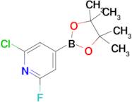 2-Chloro-6-fluoro-4-(4,4,5,5-tetramethyl-1,3,2-dioxaborolan-2-yl)pyridine