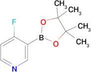 4-Fluoro-3-(4,4,5,5-tetramethyl-1,3,2-dioxaborolan-2-yl)pyridine