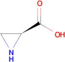 (S)-Aziridine-2-carboxylic acid