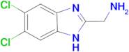 (5,6-Dichloro-1H-benzo[d]imidazol-2-yl)methanamine