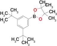 2-(3,5-Di-tert-butylphenyl)-4,4,5,5-tetramethyl-1,3,2-dioxaborolane