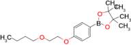 2-(4-(2-Butoxyethoxy)phenyl)-4,4,5,5-tetramethyl-1,3,2-dioxaborolane