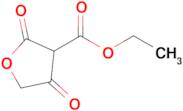 ethyl 2,4-dioxooxolane-3-carboxylate