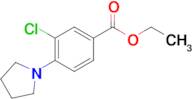 Ethyl 3-chloro-4-(pyrrolidin-1-yl)benzoate