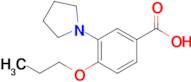 4-Propoxy-3-pyrrolidin-1-ylbenzoic acid