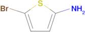 5-Bromothiophen-2-amine