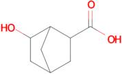 6-Hydroxybicyclo[2.2.1]heptane-2-carboxylic acid