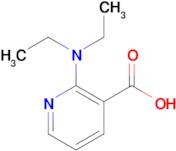 2-(Diethylamino)nicotinic acid