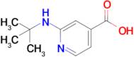 2-(tert-Butylamino)isonicotinic acid