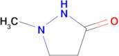 1-Methylpyrazolidin-3-one