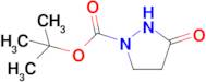 tert-Butyl 3-oxopyrazolidine-1-carboxylate