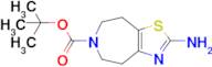 tert-Butyl 2-amino-4,5,7,8-tetrahydro-6H-thiazolo[4,5-d]azepine-6-carboxylate