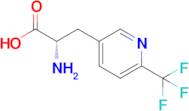 (S)-2-Amino-3-(6-(trifluoromethyl)pyridin-3-yl)propanoic acid