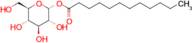 (2R,3R,4S,5S,6R)-3,4,5-Trihydroxy-6-(hydroxymethyl)tetrahydro-2H-pyran-2-yl dodecanoate