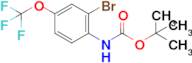 tert-Butyl (2-bromo-4-(trifluoromethoxy)phenyl)carbamate