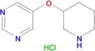 5-(Piperidin-3-yloxy)pyrimidine hydrochloride