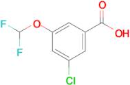 3-Chloro-5-(difluoromethoxy)benzoic acid