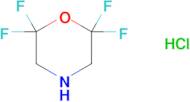 2,2,6,6-Tetrafluoromorpholine hydrochloride