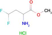 Methyl 2-amino-4,4-difluorobutanoate hydrochloride