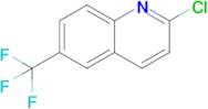 2-Chloro-6-(trifluoromethyl)quinoline