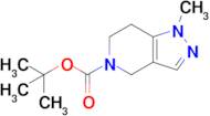 tert-Butyl 1-methyl-1,4,6,7-tetrahydro-5H-pyrazolo[4,3-c]pyridine-5-carboxylate