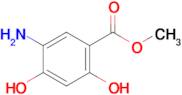 Methyl 5-amino-2,4-dihydroxybenzoate