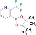 3-(4,4,5,5-Tetramethyl-1,3,2-dioxaborolan-2-yl)-2-(trifluoromethyl)pyridine