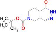 tert-Butyl 1-oxo-1,5,7,8-tetrahydropyrido[3,4-d]pyridazine-6(2H)-carboxylate