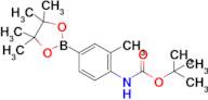 tert-Butyl (2-methyl-4-(4,4,5,5-tetramethyl-1,3,2-dioxaborolan-2-yl)phenyl)carbamate