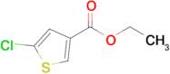 Ethyl 5-chlorothiophene-3-carboxylate