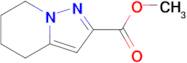 Methyl 4,5,6,7-tetrahydropyrazolo[1,5-a]pyridine-2-carboxylate
