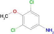 3,5-Dichloro-4-methoxyaniline
