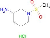 1-(Methylsulfonyl)piperidin-3-amine hydrochloride