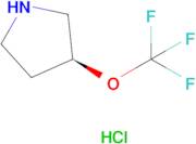 (S)-3-(Trifluoromethoxy)pyrrolidine hydrochloride