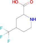 4-(Trifluoromethyl)piperidine-2-carboxylic acid