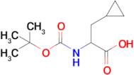 2-((tert-Butoxycarbonyl)amino)-3-cyclopropylpropanoic acid