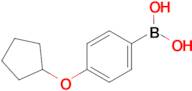 (4-(Cyclopentyloxy)phenyl)boronic acid