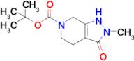 tert-Butyl 2-methyl-3-oxo-1,2,3,4,5,7-hexahydro-6H-pyrazolo[3,4-c]pyridine-6-carboxylate