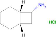 (1S,6S,7R)-Bicyclo[4.2.0]octan-7-amine hydrochloride