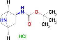 tert-Butyl ((1S,2S,4R)-7-azabicyclo[2.2.1]heptan-2-yl)carbamate hydrochloride