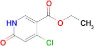 Ethyl 4-chloro-6-oxo-1,6-dihydropyridine-3-carboxylate