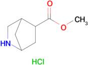 Methyl 2-azabicyclo[2.2.1]heptane-5-carboxylate hydrochloride