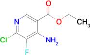 Ethyl 4-amino-6-chloro-5-fluoronicotinate